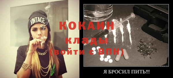 мдпв Елизово