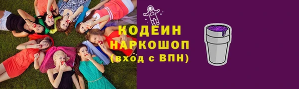 мдпв Елизово