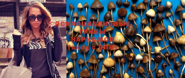 каннабис Ельня