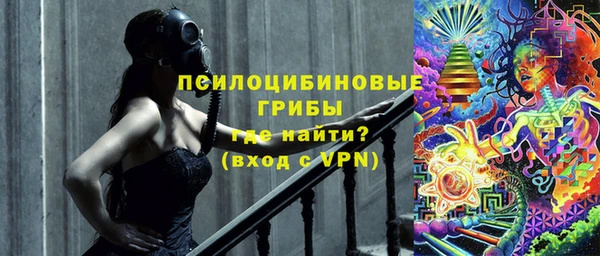 мдпв Елизово