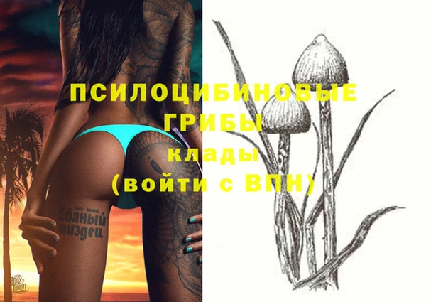 мдпв Елизово