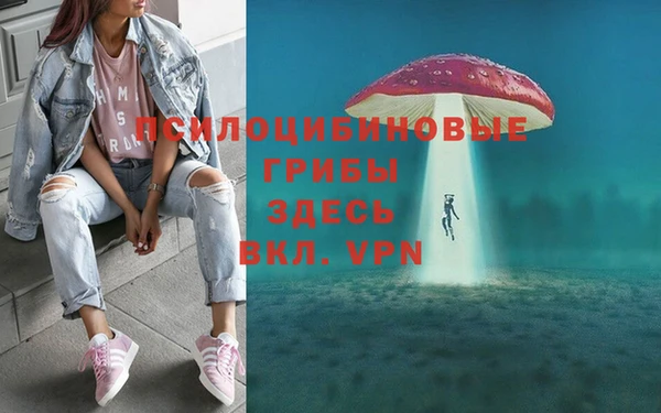 каннабис Ельня